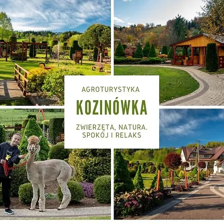 Kozinowka